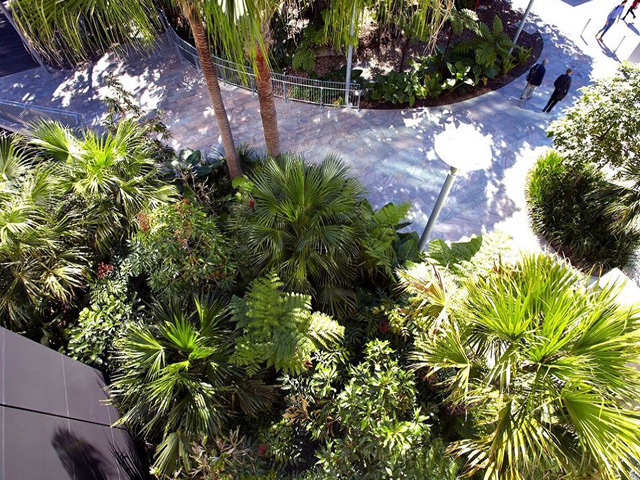 Designed Developed Delivered